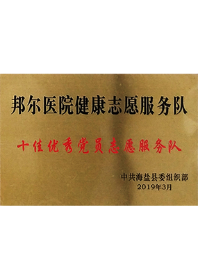 十佳優秀黨員志愿服務隊